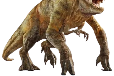 仮面ライダークウガ | 仮面ライダー Wiki | Fandom