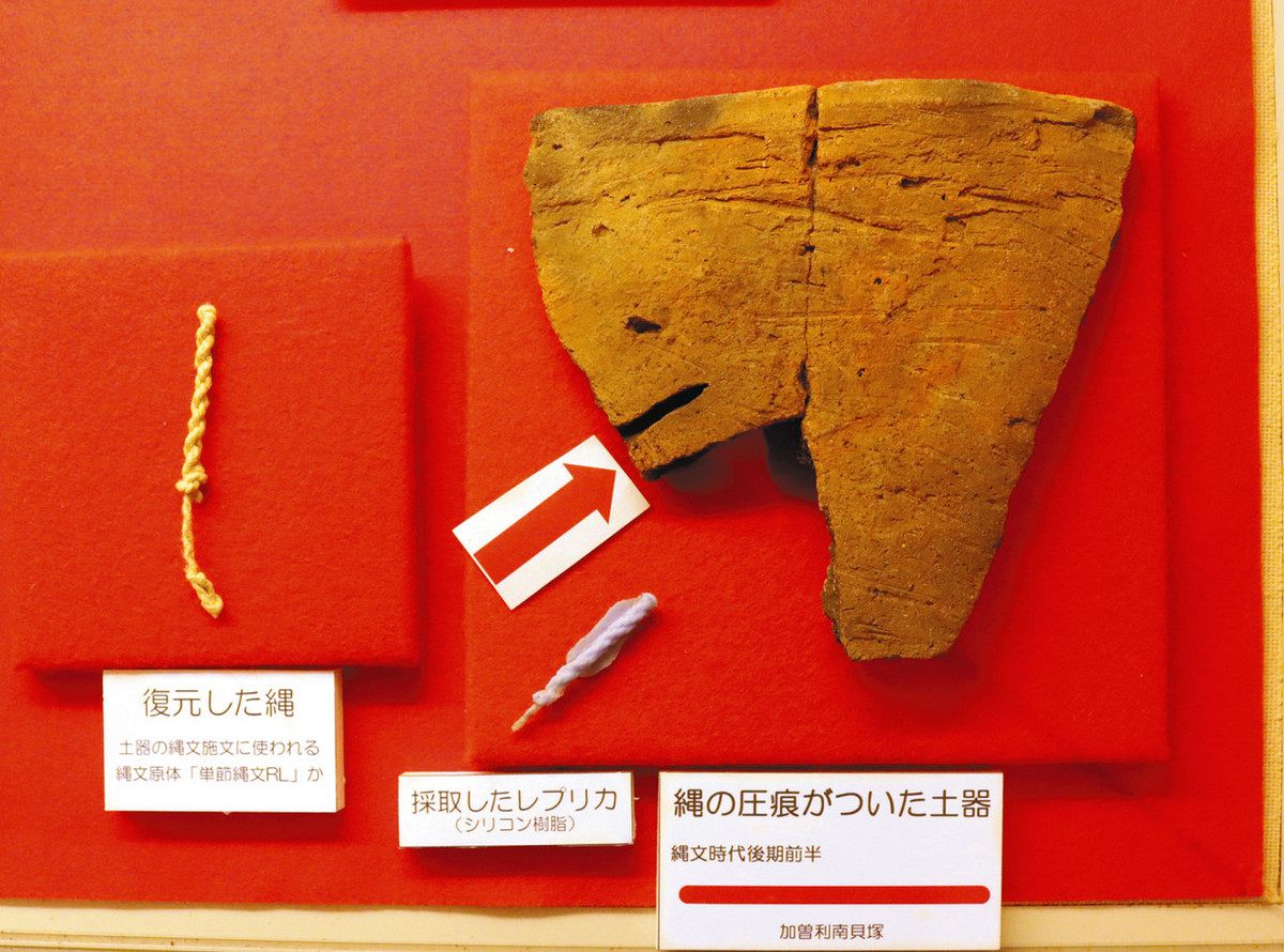 縄文原体」こういう形かも 模様づけ道具の跡残る土器片公開 千葉市
