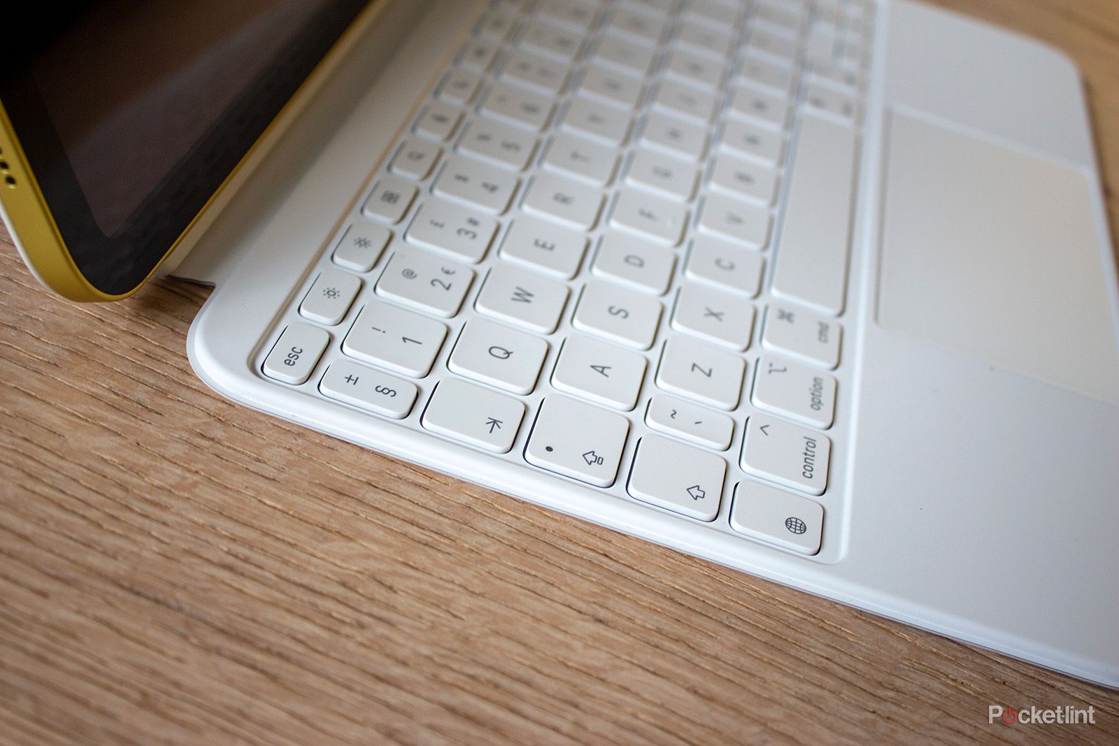 I've been using the Apple Magic Keyboard Folio and this is the