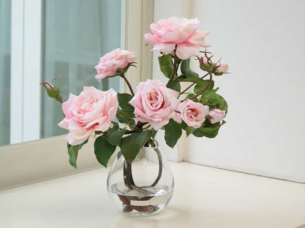 EMILIO ROBBA PRIMA ROSE / エミリオロバ プリマローズ #103129