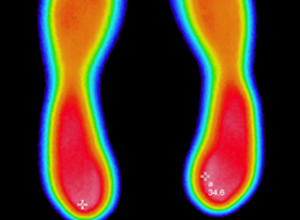 BONE Active®（ボーンアクティヴ）｜美容製品｜株式会社Star'Q