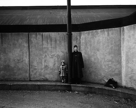 Harry Callahan « Stephen Daiter Gallery