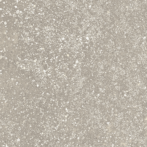 フロアタイル TTN3219 東リ ルースレイ50NW-EX ホワイトサッビア 500mm