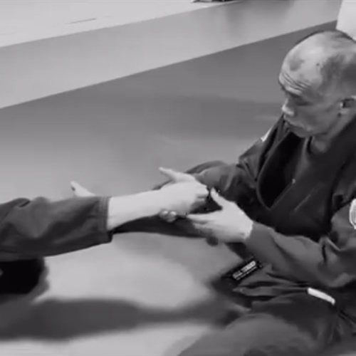 書籍・DVD紹介 ｜ TAIRA Naoyuki & STRAPPLE 柔術・武術