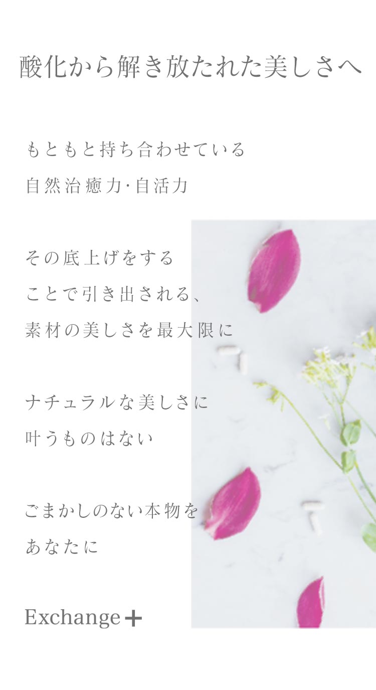 haircare | 株式会社ストリ