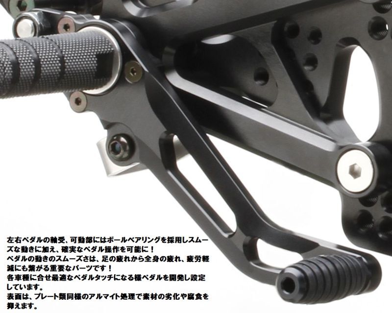 STRIKER SPECIAL STEP KIT 6ポジション KAWASAKI ZX-6R 09~16