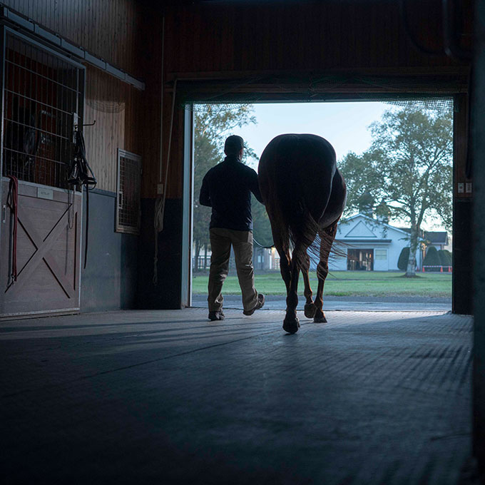 ギャラリー | LEX STUD（レックススタッド）