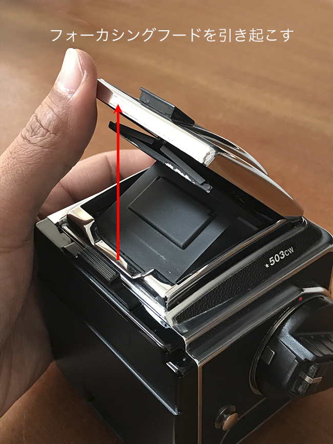 ハッセルブラッド 503CW – Studio Hishiki