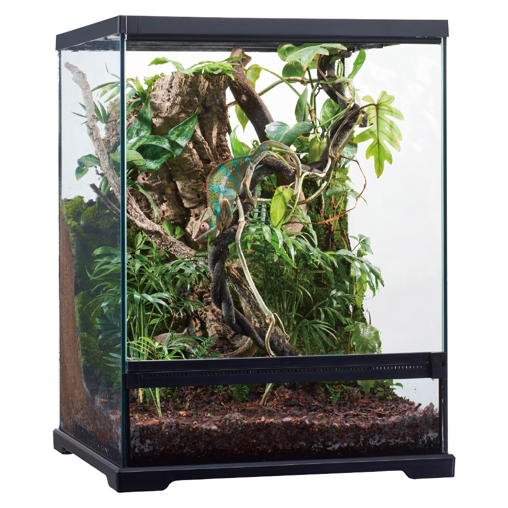 グラステラリウムドレイン4560 | ペットショップ かわいいいきものたち