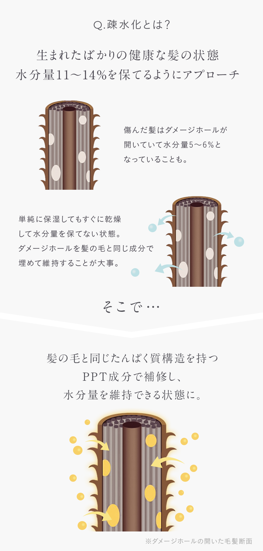 inborn ホームケアセット｜inbornの購入ならSTYLERS｜STYLERS