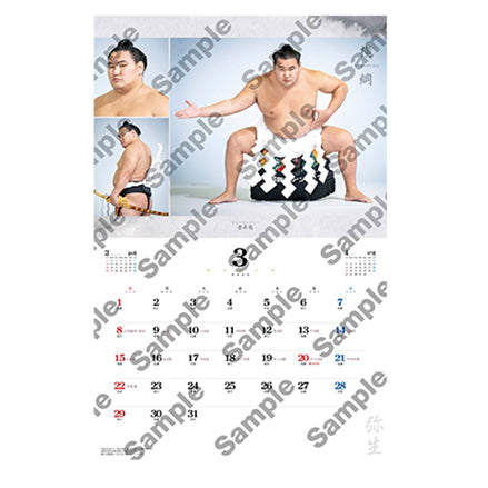 大相撲 2026年カレンダー 10部セット 大相撲カレンダー」の人気商品