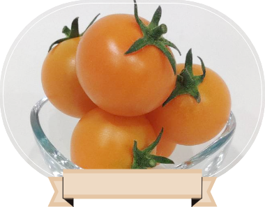 ☆農園の野菜たち☆｜北斗市でミニトマト【プチぷよ】ならスケサンファーム