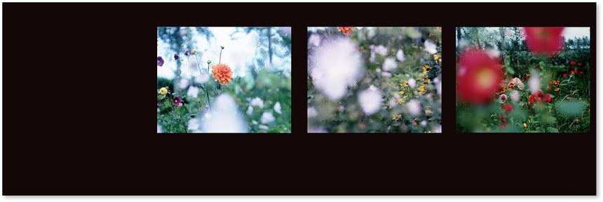 Étude Risaku Suzuki (鈴木理策) – SUPER LABO