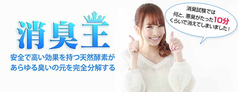 消臭王 GT-S | 消臭王 GT-S | 除菌・消臭・動物忌避グッズの通販サイト