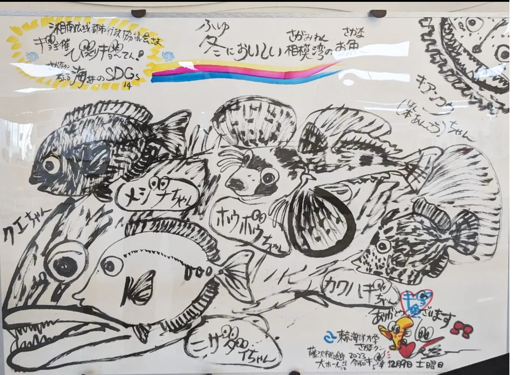 さかなクンが12月9日に藤沢市民会館大ホールにやってきました。 - 藤沢