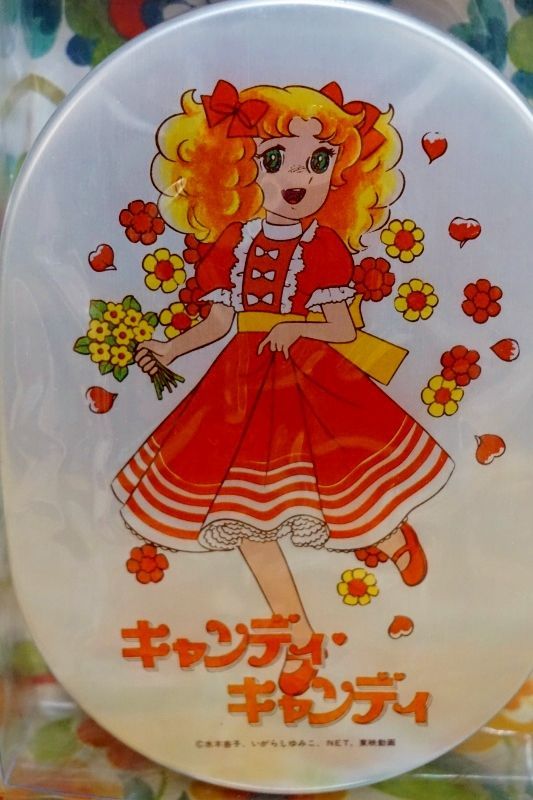 レア キャンディキャンディアルミ弁当箱 テイネン いがらしゆみこ BY100