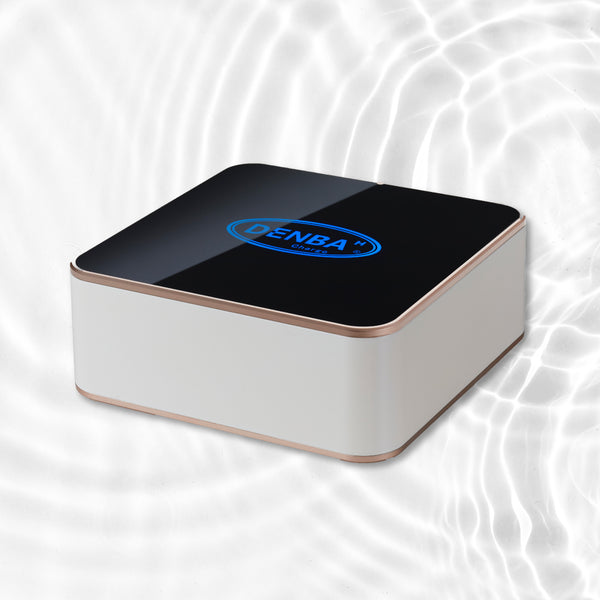 denba_charge_grande.jpg?v=