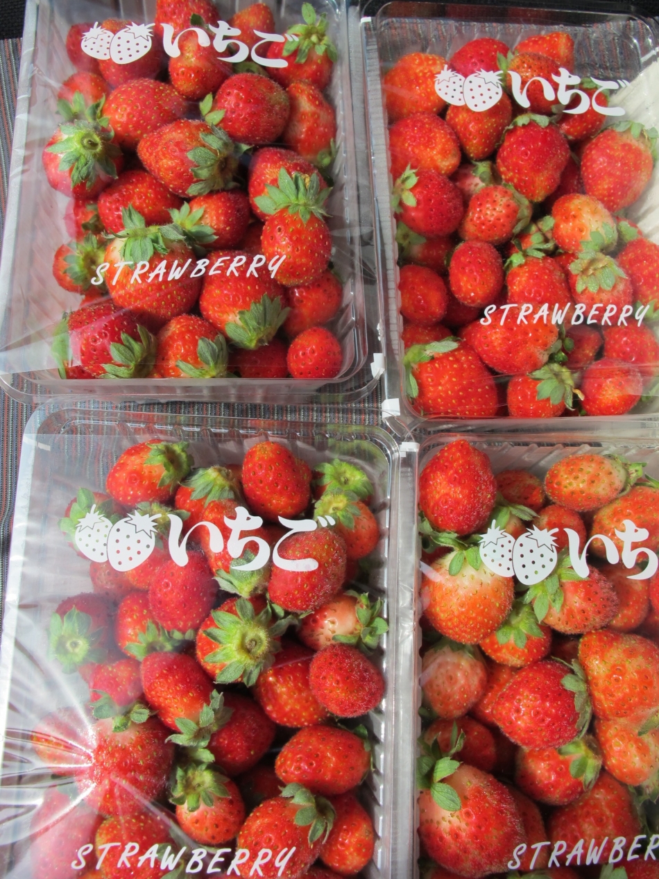 いちご「サマーティアラ」 | 食材-夏の食材 | 食の都 庄内|山形県庄内